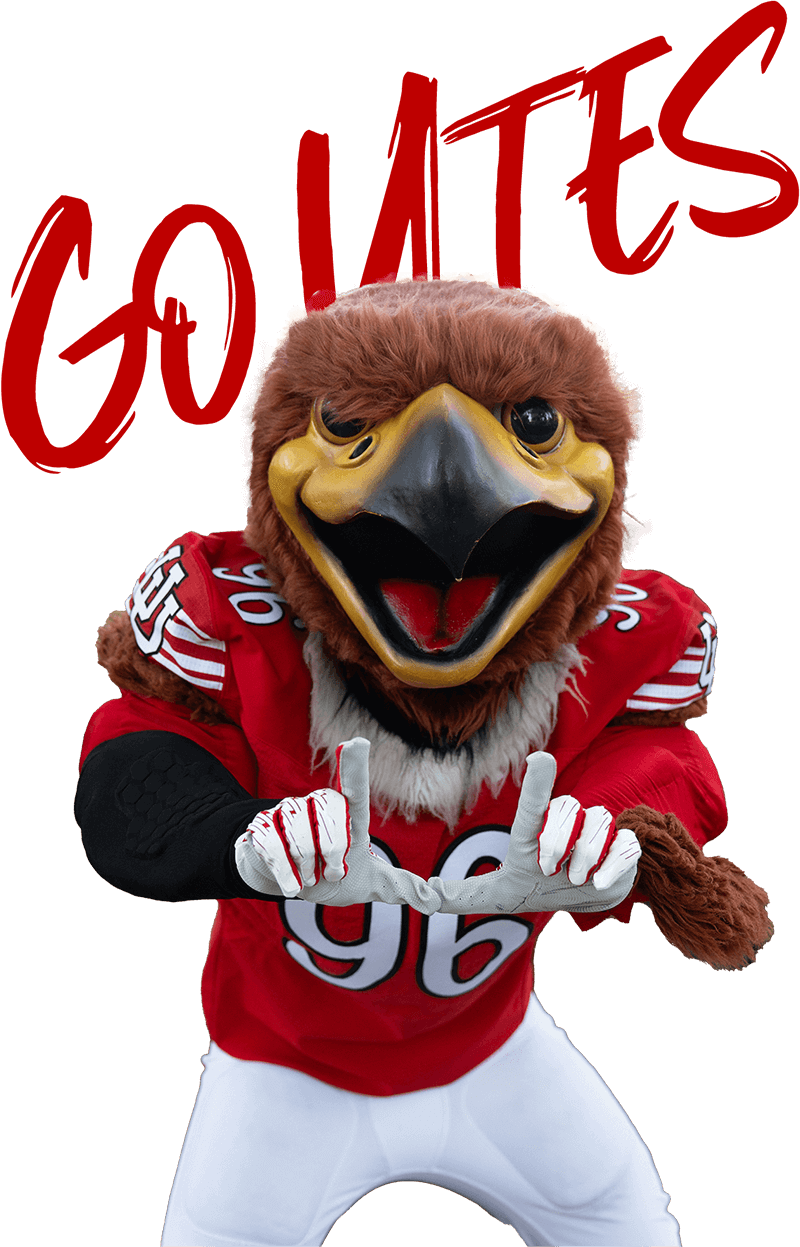 swoop in football gear